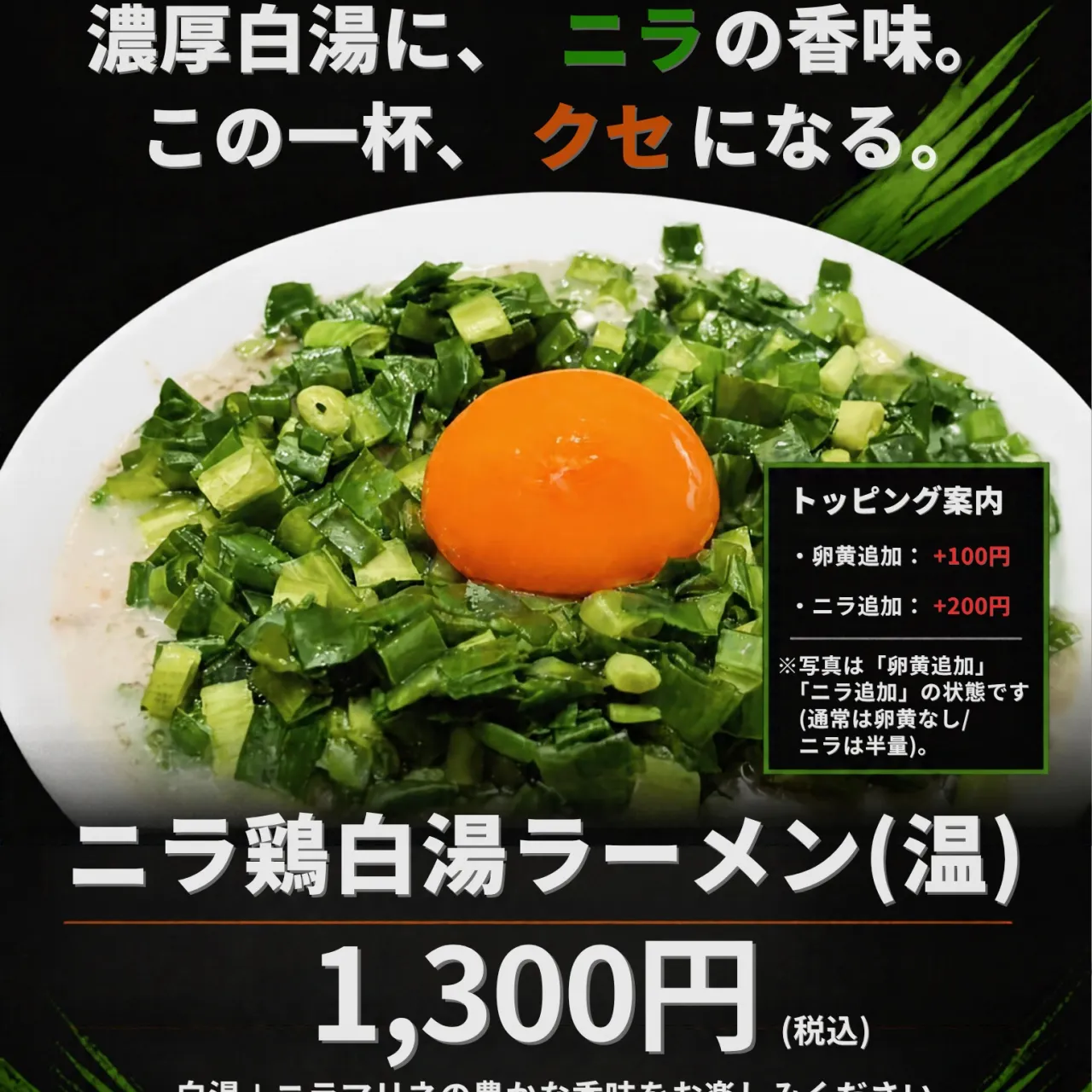 【期間限定】10/14(水)スタート!